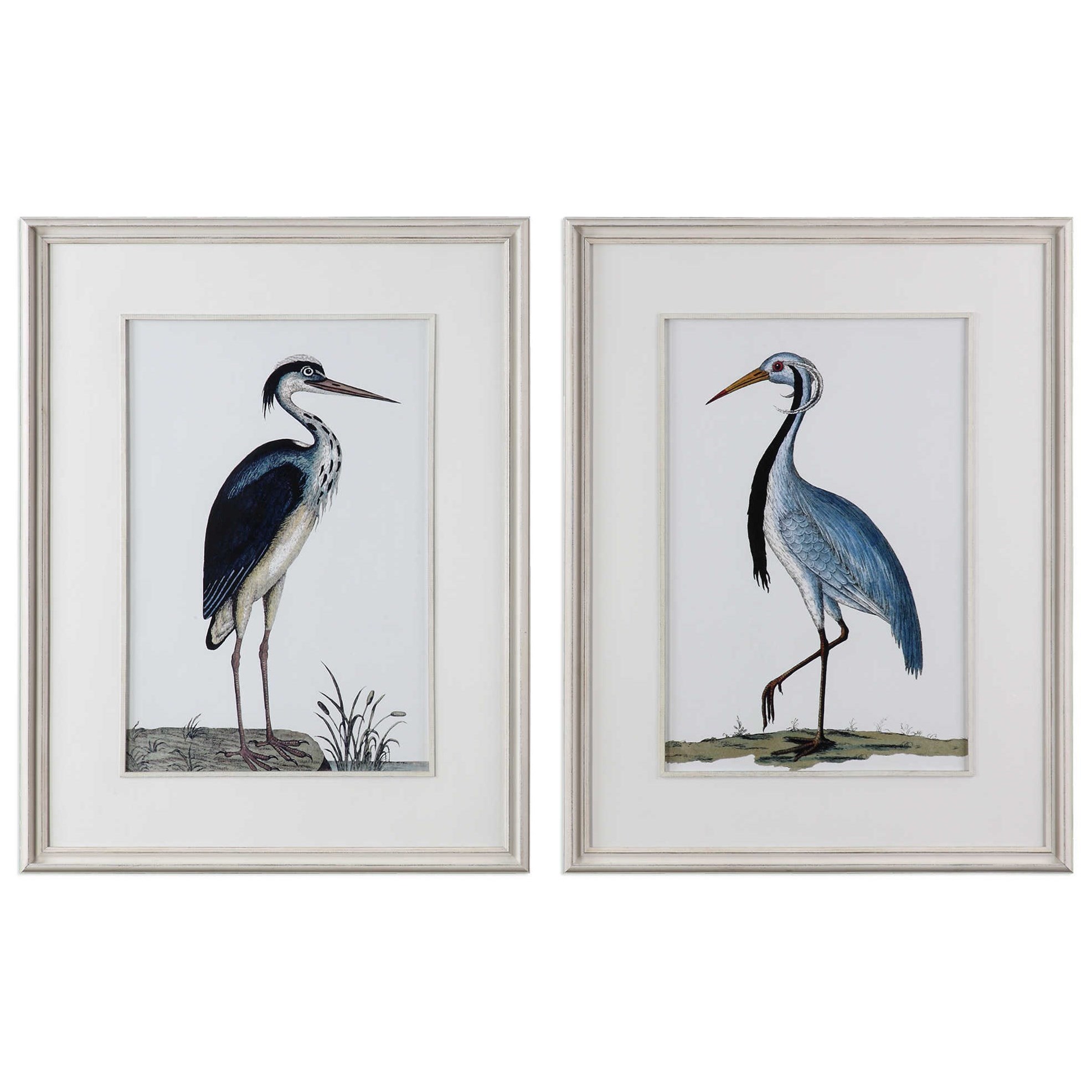Uttermost Framed Prints Shore Birds Framed Prints Set of 2 Stuckey